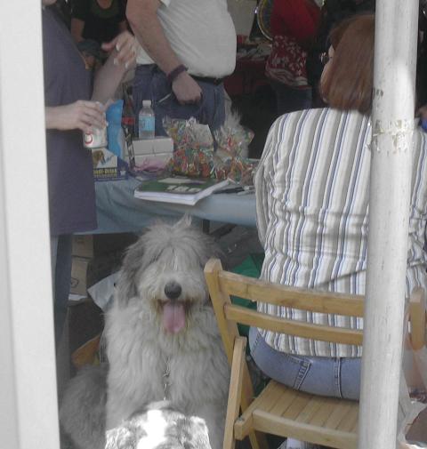 /images/events/11/Bark in the Park 2008 018.jpg